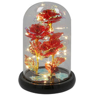 Radiant Rose LED Dome Light - KELLY'S SMELLIES