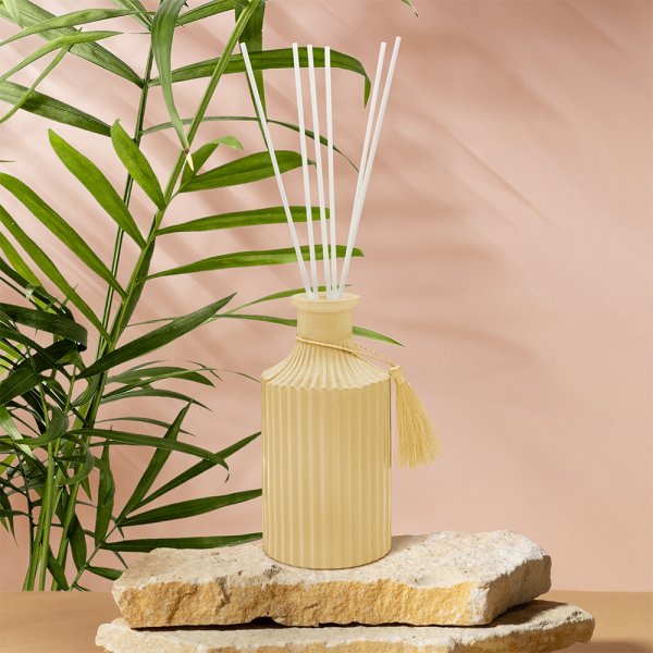 Small 100 ml Reed Diffuser